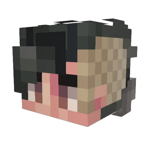 Tetra37 Minecraft avatar head, 3D render