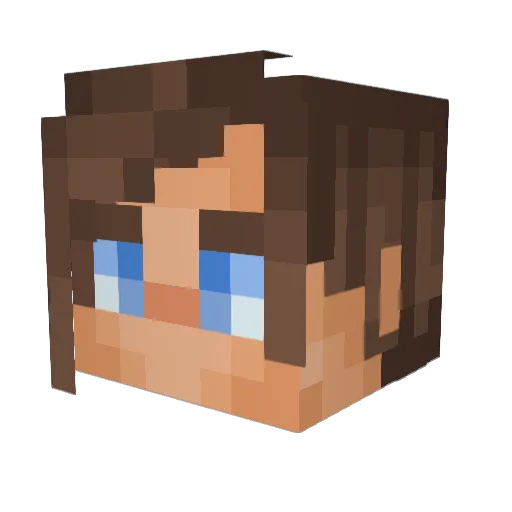 TetraLee Minecraft avatar head, 3D render