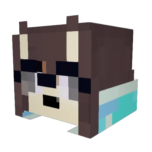 TetraPawz Minecraft avatar head, 3D render