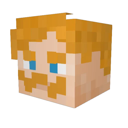TetraXXL Minecraft avatar head, 3D render