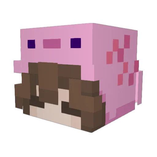 Tetracainn Minecraft avatar head, 3D render
