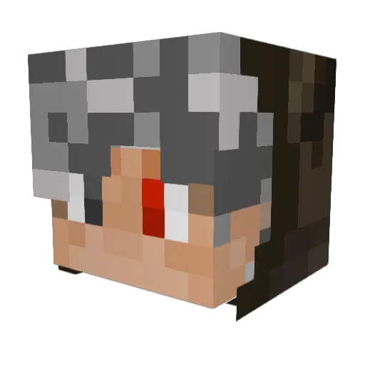 Tetrado Minecraft avatar head, 3D render