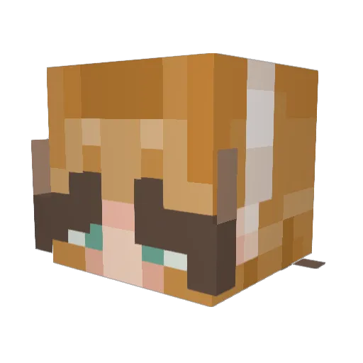 TetrominoGamer Minecraft avatar head, 3D render