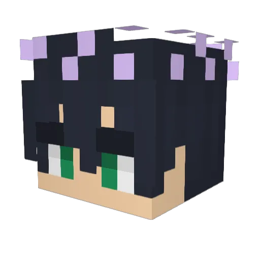 Tetsyv Minecraft avatar head, 3D render