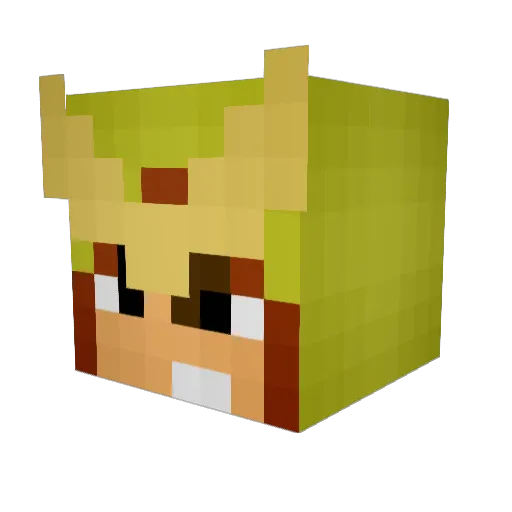 Tetz23 Minecraft avatar head, 3D render