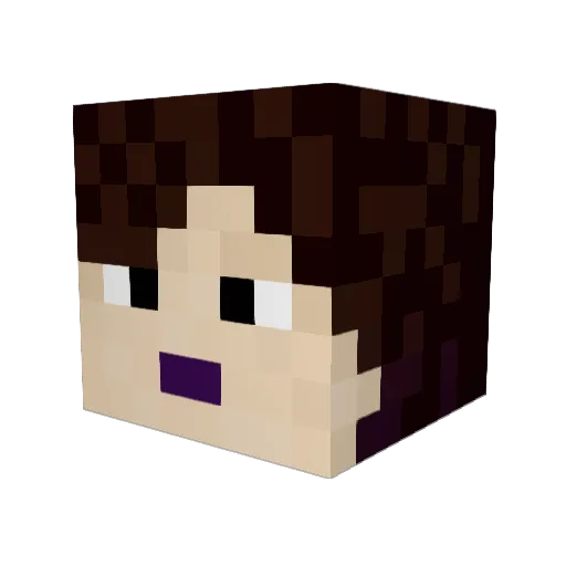 Teudace Minecraft avatar head, 3D render