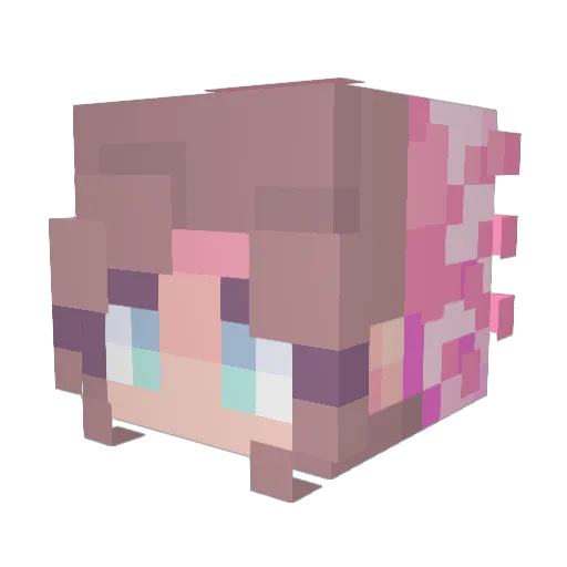 Teudoong Minecraft avatar head, 3D render