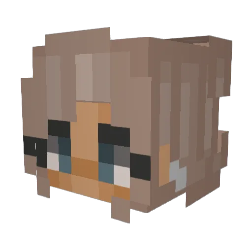 Teufel2166 Minecraft avatar head, 3D render