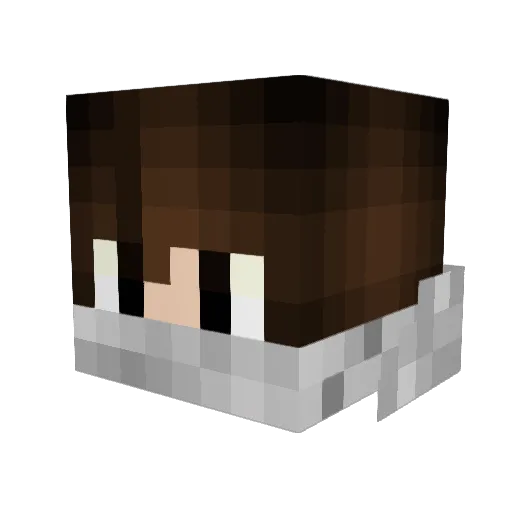 TeundeKing Minecraft avatar head, 3D render