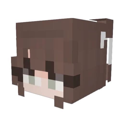 Teussy Minecraft avatar head, 3D render