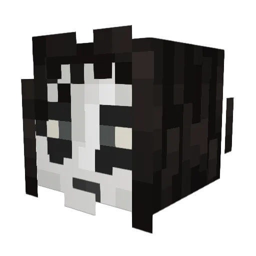 Tev0k Minecraft avatar head, 3D render