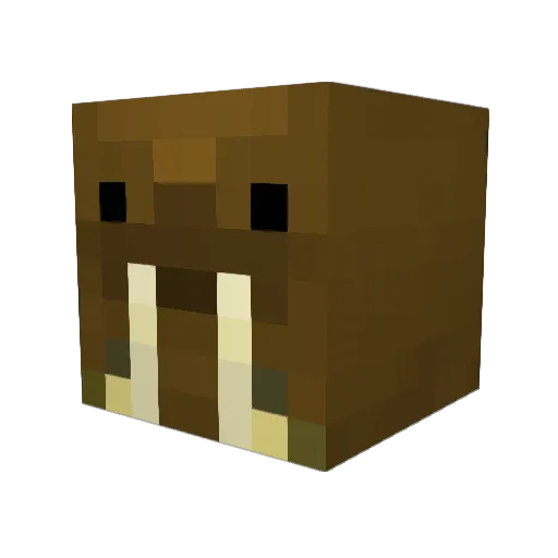 Tevan8D Minecraft avatar head, 3D render
