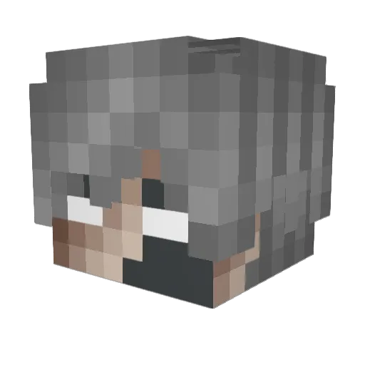 Tever Minecraft avatar head, 3D render