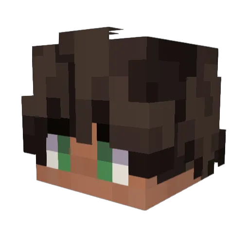 Tevoo Minecraft avatar head, 3D render