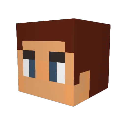 Tevz22 Minecraft avatar head, 3D render