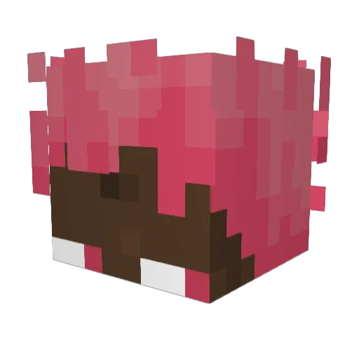 TewGeto Minecraft avatar head, 3D render