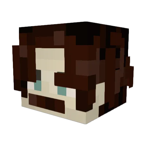 TewNz Minecraft avatar head, 3D render