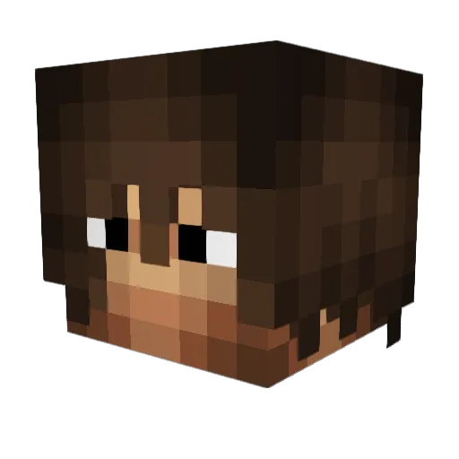 Tex01ste Minecraft avatar head, 3D render