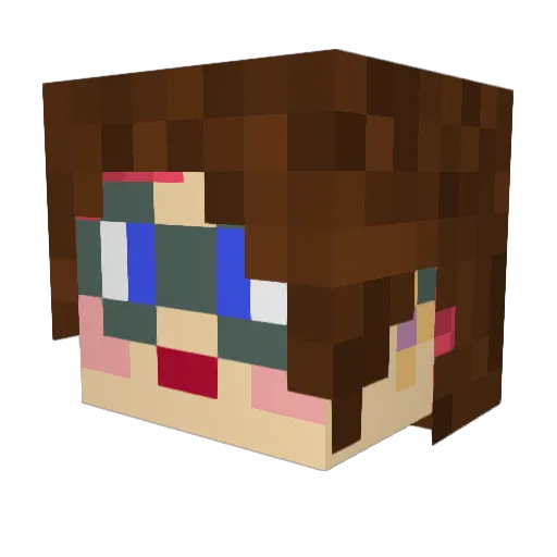 TexNess0812 Minecraft avatar head, 3D render