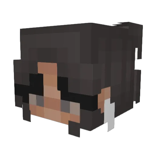 TexToxic Minecraft avatar head, 3D render