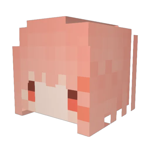 Tex_Shen_Shen Minecraft avatar head, 3D render
