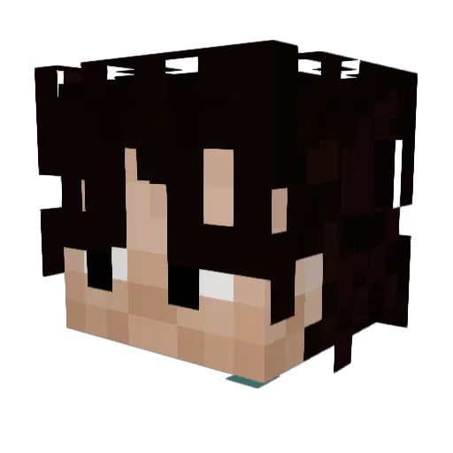 Tex_TF Minecraft avatar head, 3D render