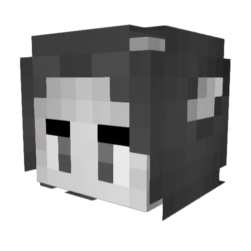 Texaas Minecraft avatar head, 3D render