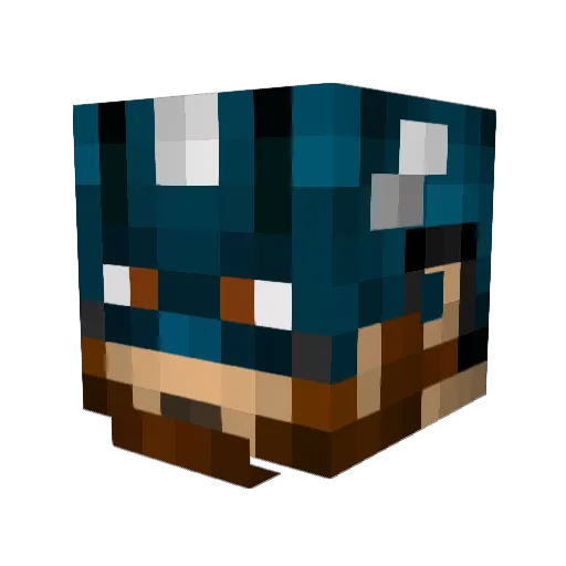 TexanCruiser Minecraft avatar head, 3D render