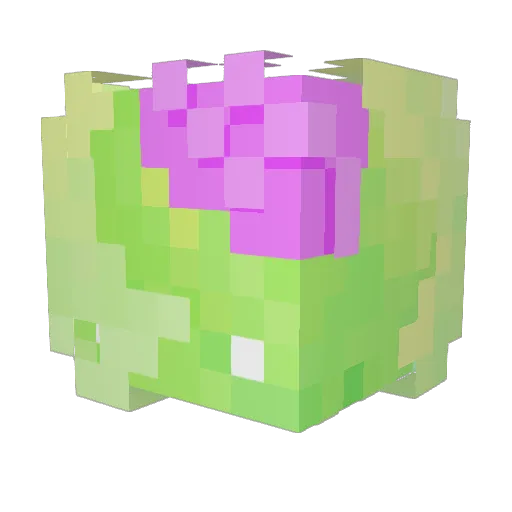 TexanTilapia Minecraft avatar head, 3D render