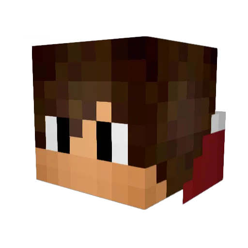 Texas088 Minecraft avatar head, 3D render
