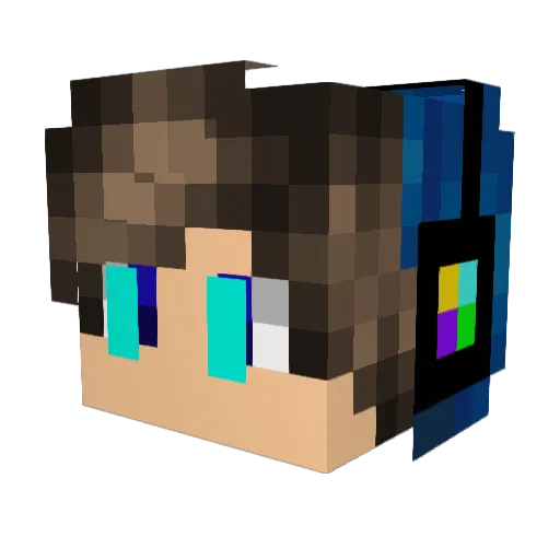 Texas231836 Minecraft avatar head, 3D render