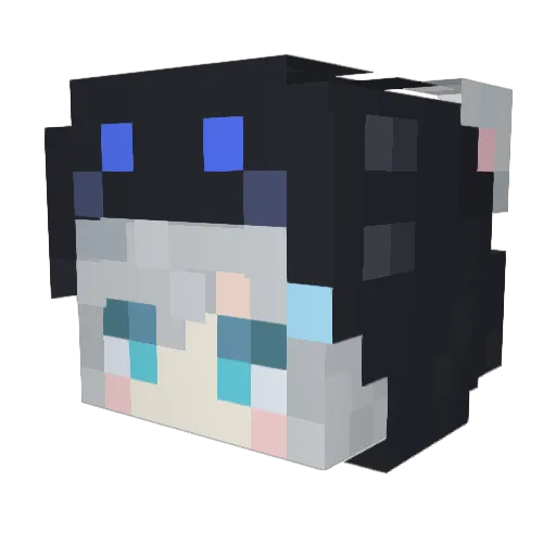 Texas626 Minecraft avatar head, 3D render