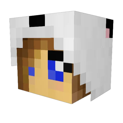 Texas711 Minecraft avatar head, 3D render