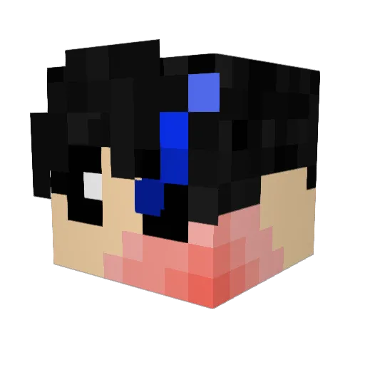 TexasBBQ142 Minecraft avatar head, 3D render