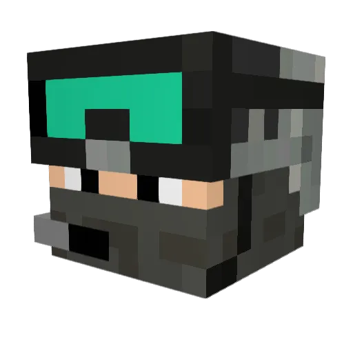 TexasBaseballGuy Minecraft avatar head, 3D render
