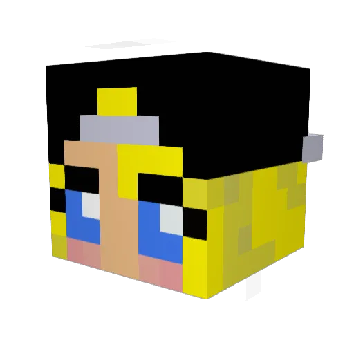TexasJoonge Minecraft avatar head, 3D render