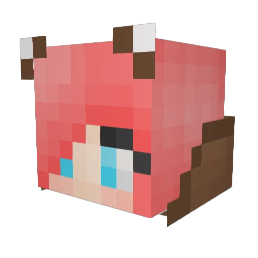 TexasKitty Minecraft avatar head, 3D render