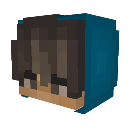 TexasLanguste23 Minecraft avatar head, 3D render