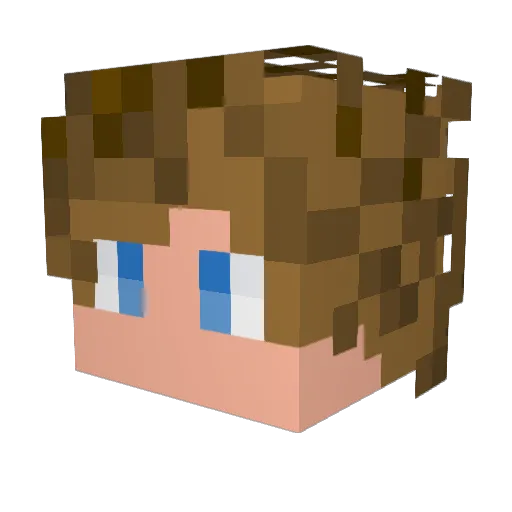 TexasToast69420 Minecraft avatar head, 3D render