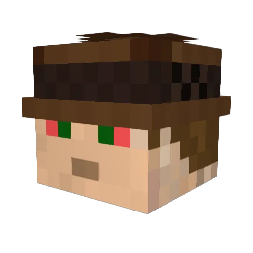 TexasToker Minecraft avatar head, 3D render