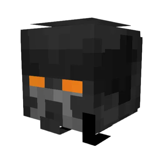 Texasman92 Minecraft avatar head, 3D render