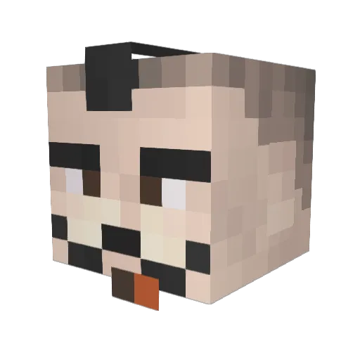 Texicus Minecraft avatar head, 3D render
