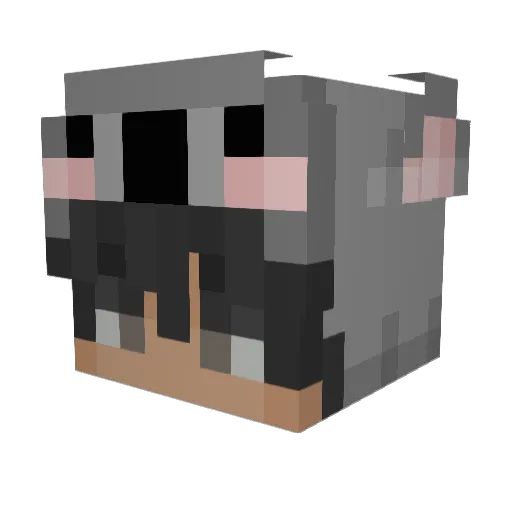 Texot Minecraft avatar head, 3D render