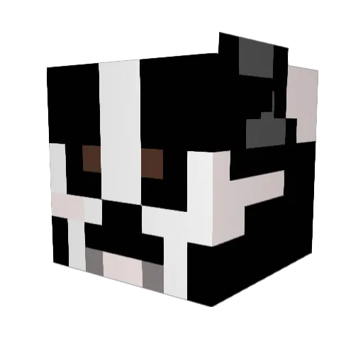 TexugoMaluco Minecraft avatar head, 3D render