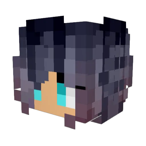 Teyla2010 Minecraft avatar head, 3D render