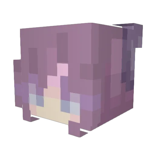 Teyme Minecraft avatar head, 3D render