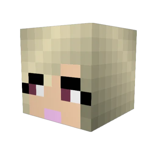 Tez_blossom Minecraft avatar head, 3D render