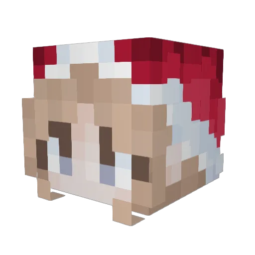 TezaFox Minecraft avatar head, 3D render