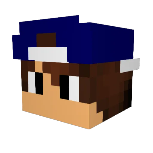 Tezox_ Minecraft avatar head, 3D render