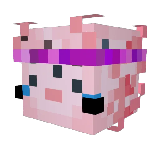 Tezz1512 Minecraft avatar head, 3D render